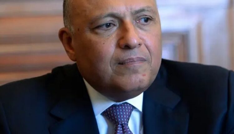 وزير الخارجية سامح شكري