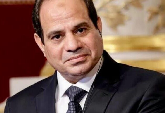 الرئيس عبد الفتاح السيسي